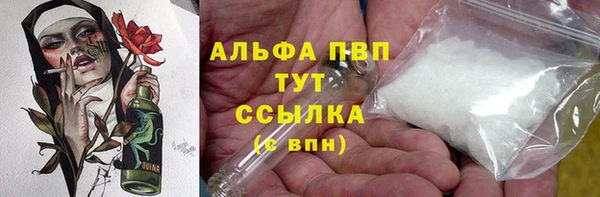прущие грибы Аркадак