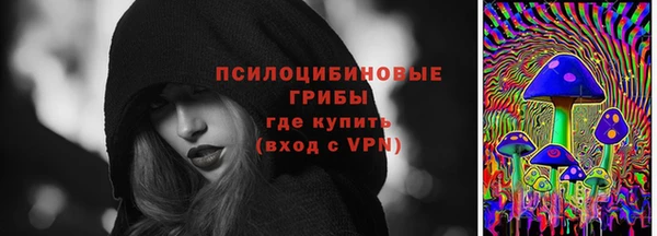 прущие грибы Аркадак