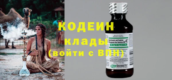 прущие грибы Аркадак