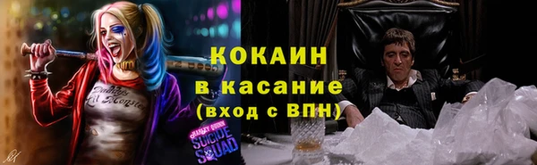 прущие грибы Аркадак