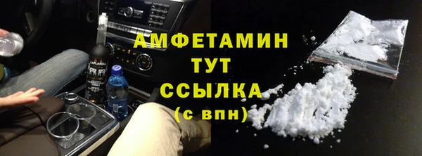 прущие грибы Аркадак