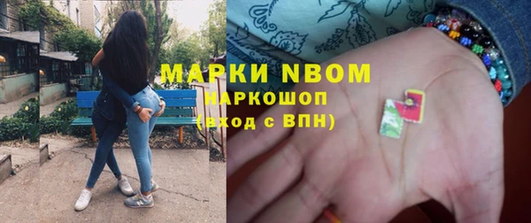 прущие грибы Аркадак