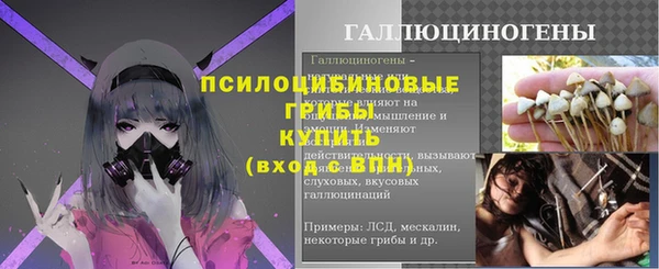 прущие грибы Аркадак
